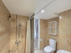 Dunearn Road (D11), Condominium #613516681